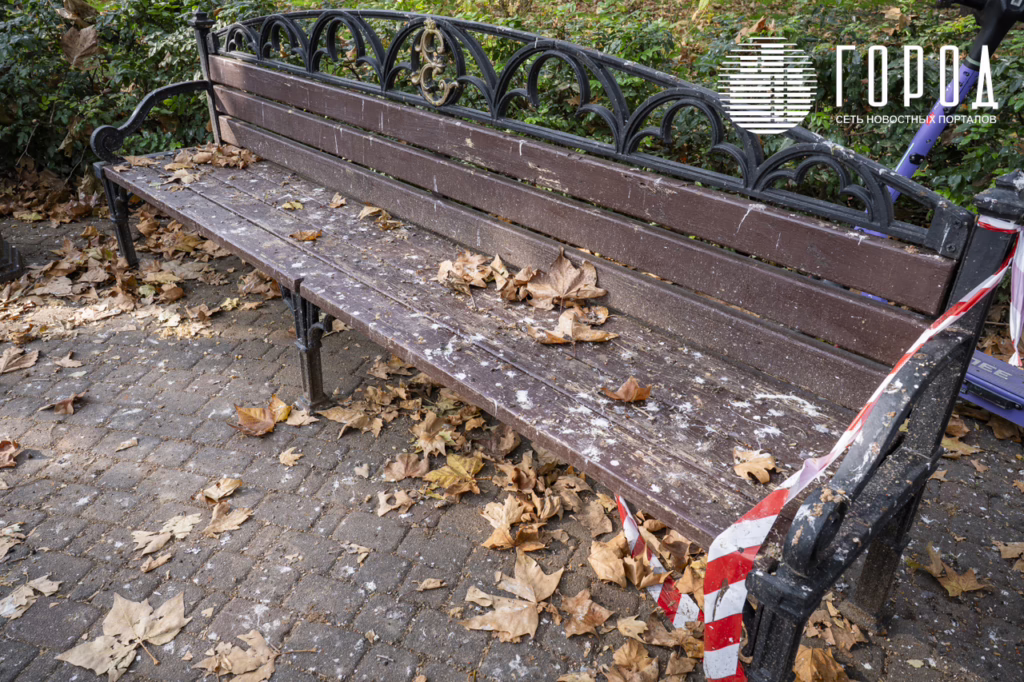 Сергей Галицкий украшение Красной к Новому 2026 году (57)