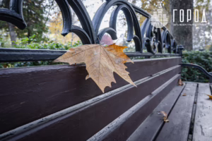 Сергей Галицкий украшения Красной к Новому 2026 году (6444)