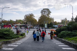 Солнечный остров Краснодар-6755