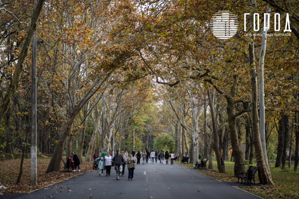 Осенняя аллея