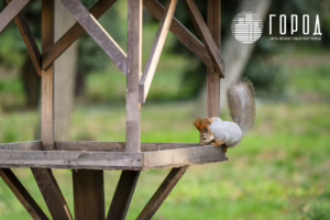 Солнечный остров Краснодар-6787