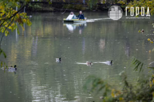 Солнечный остров Краснодар-6815