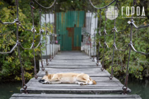 Солнечный остров Краснодар-6829