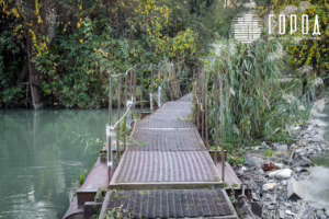 Солнечный остров Краснодар-6872