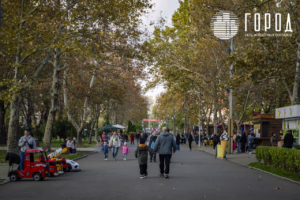 Солнечный остров Краснодар-8278