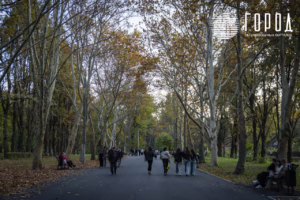 Солнечный остров Краснодар-8279