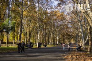 Солнечный остров Краснодар-8283