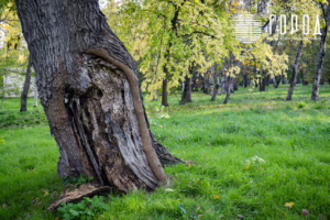 Солнечный остров Краснодар-8294