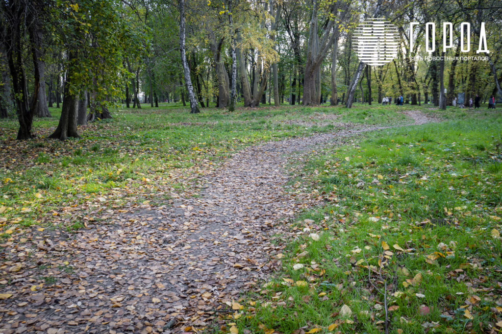 Тропинка в лесу красивая