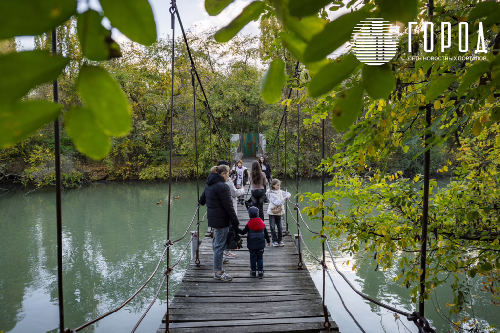 Мостик Краснодар-8303