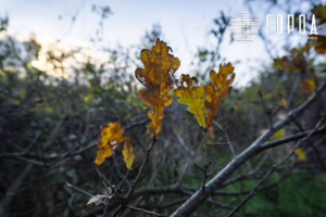 Солнечный остров Краснодар-8329