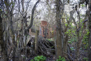 Солнечный остров Краснодар-8332