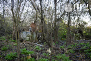 Солнечный остров Краснодар-8334