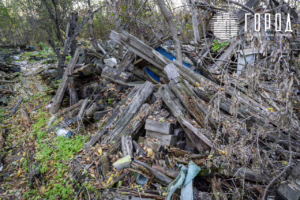 Солнечный остров Краснодар-8339