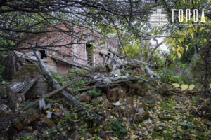 Солнечный остров Краснодар-8341