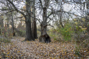 Солнечный остров Краснодар-8352