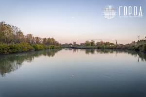 Солнечный остров Краснодар-8360