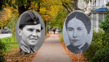 Улицы Осипенко и Вишняковой в Краснодаре