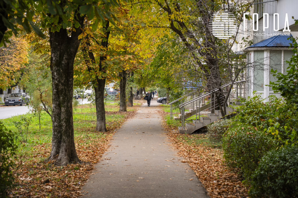 Полина Осипенко и Прасковья Вишнякова: почему в честь них назвали улицы Краснодара