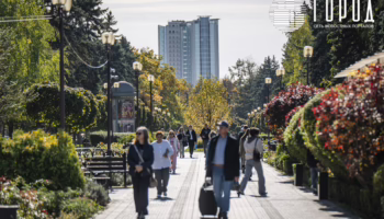 Зарплаты в Краснодаре