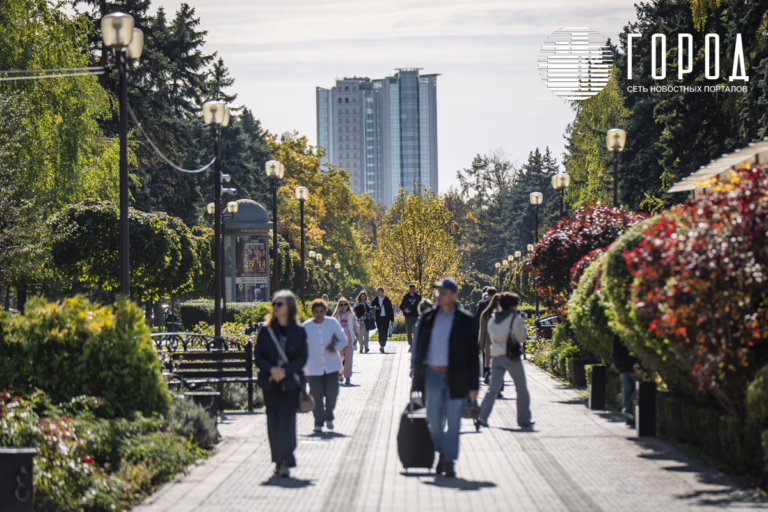 В Краснодаре средние зарплаты снизились до 95351 рубля