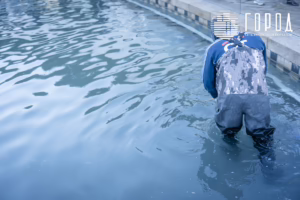 Город - Парк Галицкого Ноябрь 2025-7604