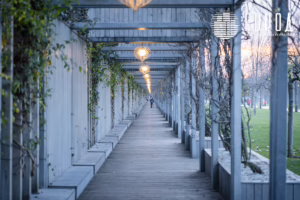 Город - Парк Галицкого Ноябрь 2025-7607