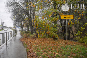 Город - Ремонт путепровода ул. Фадеева Краснодар-8622 (25)