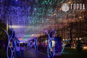 Город - ул. Красная Новый год 2026-7629