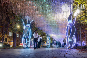 Город - ул. Красная Новый год 2026-7636