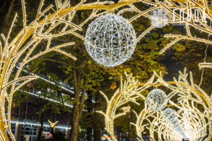 Город - ул. Красная Новый год 2026-7645