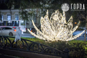 Город - ул. Красная Новый год 2026-7680