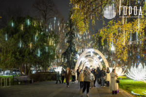 Город - ул. Красная Новый год 2026-7682