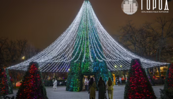 Как Галицкий второй год подряд украсил улицу Красную в Краснодаре (9)