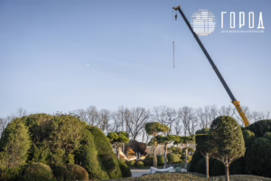 Мать земля в парке Галицкого (5)