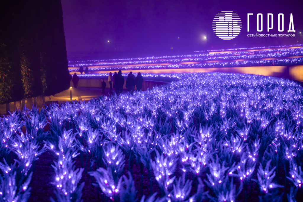 Новогодний парк Галицкого 2026--29