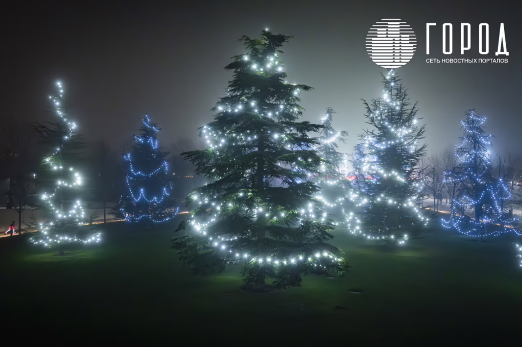 Новогодний парк Галицкого 2026--45