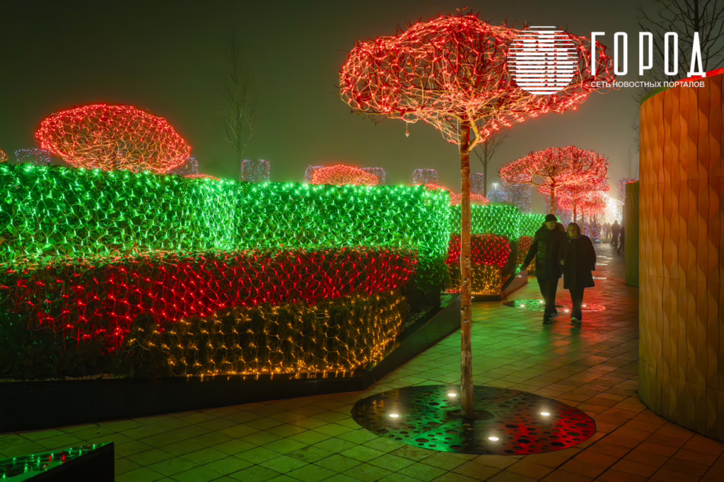 Новогодний парк Галицкого 2026--47