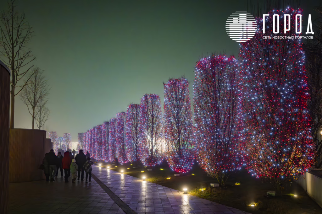Новогодний парк Галицкого 2026--48