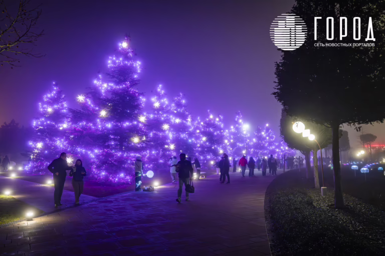 Новогодний парк Галицкого: фото и видео