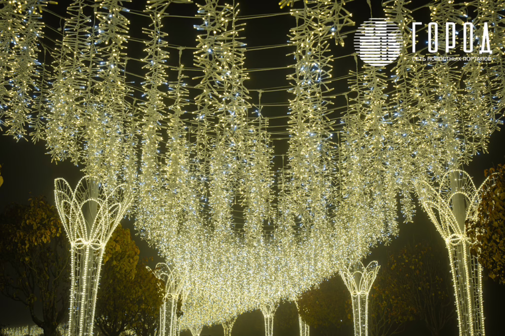 Новогодний парк Галицкого 2026-8089