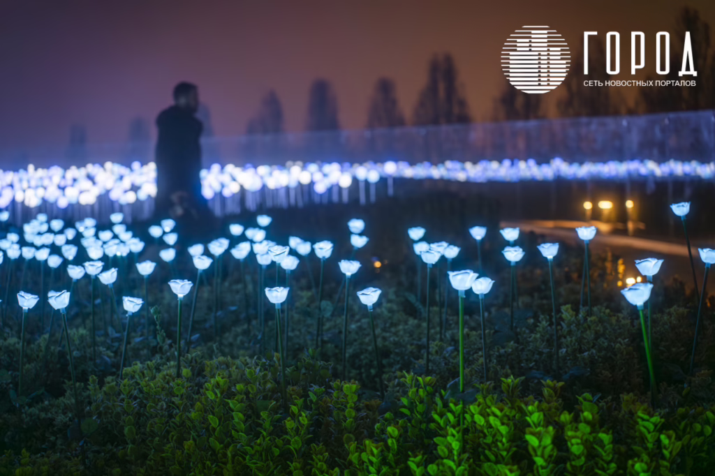 Новогодний парк Галицкого 2026--9