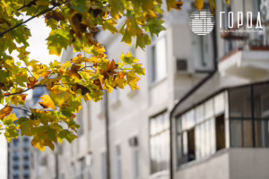 Осень 2025 года в Краснодаре (1)