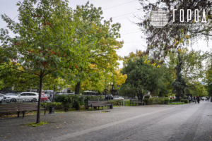 Осень 2025 года в Краснодаре (10)