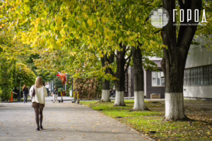 Осень 2025 года в Краснодаре (12)