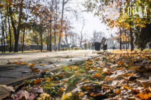 Осень 2025 года в Краснодаре (15)