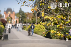 Осень 2025 года в Краснодаре (23)