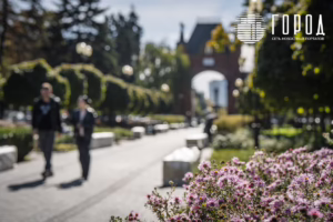 Осень 2025 года в Краснодаре (25)