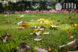 Осень 2025 года в Краснодаре (26)