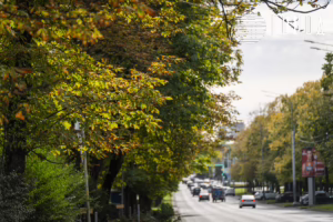 Осень 2025 года в Краснодаре (32)